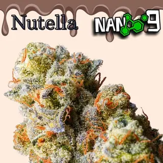 Nutella Nano9 1g