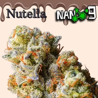 Nutella Nano9 2g