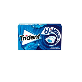 TRIDENT peppermint flavour 22g