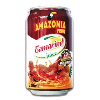 JUGO TAMARINDO 330ml