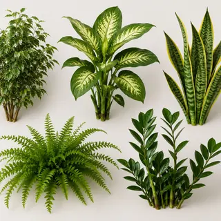 Planta Verde- Unidad ( imágenes orientativas)