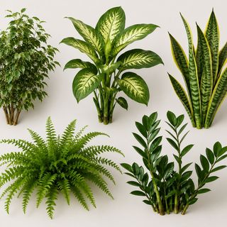 Planta Verde- Unidad ( imágenes orientativas)