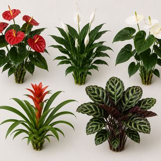 Planta Con Flor( imagin orientativa)_ unidad
