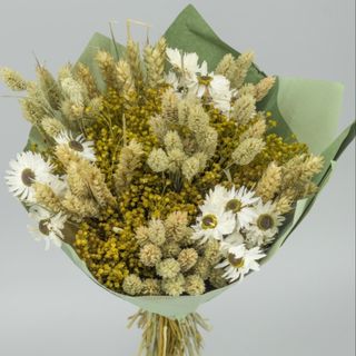 Bouquet seco bnc