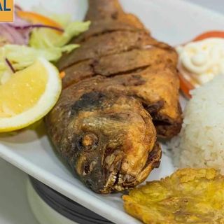 Dorada