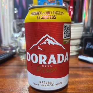 Dorada lata
