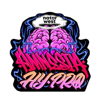 NATURE WEST INDOOR FLORES AMNESIA CBD HY PRO 2GM