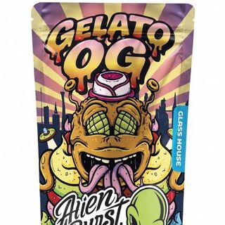 ALIEN BURST CBD FLORES GELATO OG GLASS HOUSE 3gm