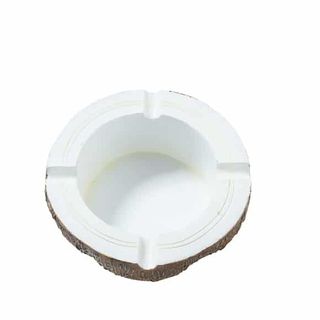 CHAMP COLECCION COCO FOOD CINCERO