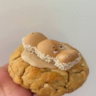 Cookie Happy Hippo