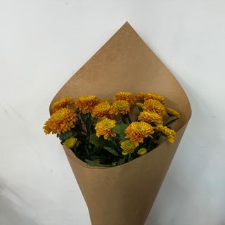 ნარინჯისფერი ქრიზანთემა