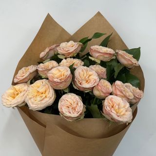 კრემისფერი სფრეი ვარდი