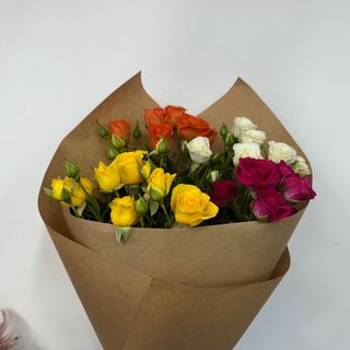 ფერადი სფრეი ვარდი