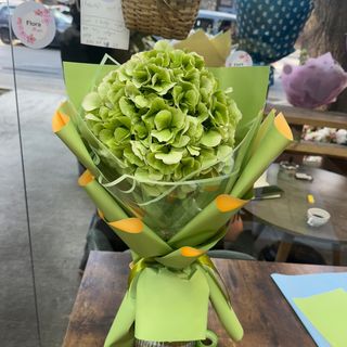 მწვანე ჰოლანდიური ჰორტეზია