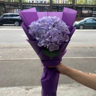 იასამნისფერი ჰოლანდიური ჰორტეზია