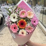 მინი გერბერა