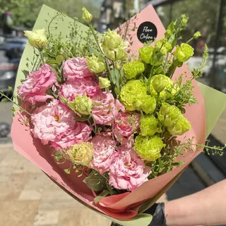 Green-pink Eustoma