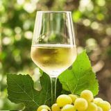 ალაზნის ველი - სახლის ჩამოსასხმელი 0,500მლ