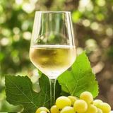 ალაზნის ველი - სახლის ჩამოსასხმელი 1ლ