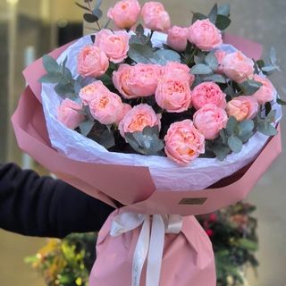 თაიგული N22