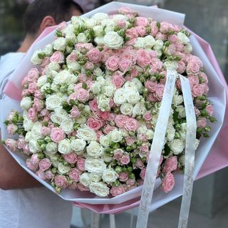 თაიგული N24