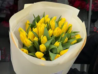 ყვითელი