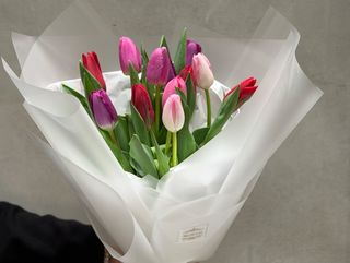 თაიგული 26