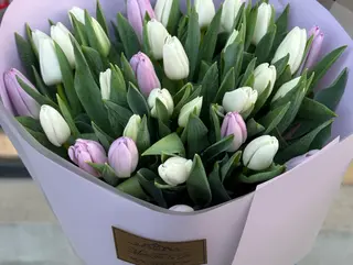 თაიგული 23