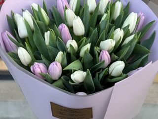 თაიგული 23