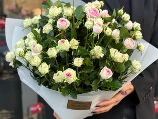 თაიგული N21