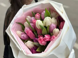 ტიტა 1