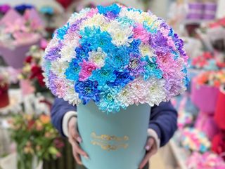 ფერადი ქრიზანთემები