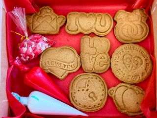 მოსახატი ორცხობილები