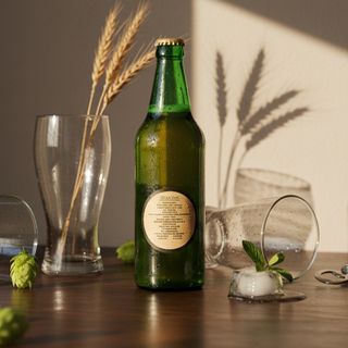 ალხანაიძე ლაგერი