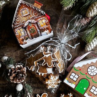 ჯინჯერის ბიქსი სახლის შეფუთვაში