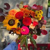 მზესუმზირას შემოდგომის კონა