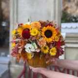 მზესუმზირები გოგრაში (L)