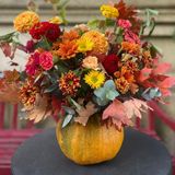 შემოდგომა გოგრაში (M)