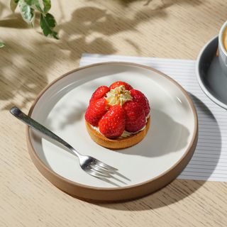 ხილის ტარტი