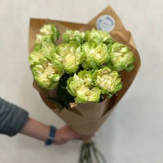 ჰოლანდიური მწვანე ვარდი (10ტოტი)