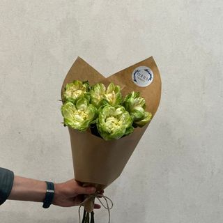 ჰოლანდიური მწვანე ვარდი (5ტოტი)