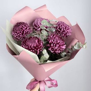 იასამნისფერი ქრიზანთემები