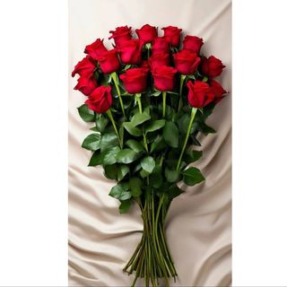 წითელი ჰოლანდიური ვარდი (15)