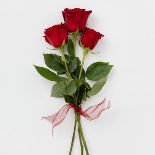 წითელი ჰოლანდიური ვარდი ( 3) ლენტით