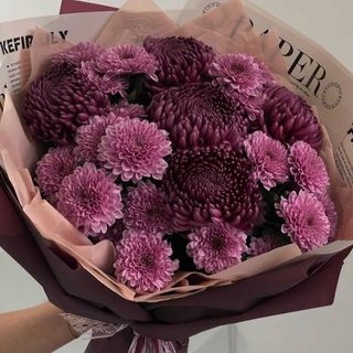 თაიგული "იასამნისფერი ქალაქი"