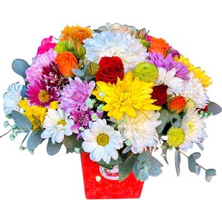 ფერადი კომპოზიცია 1 (s)