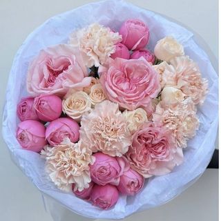 თაიგული-მონალიზა