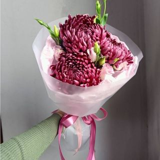 იასამნისფერი ქრიზანთემები (3)