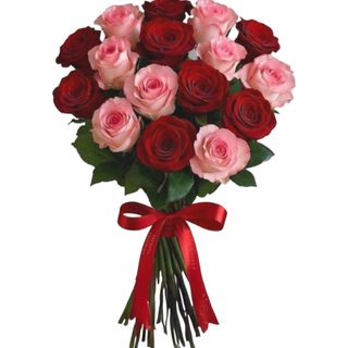 წითელი და ვარდისფერი მიქსი (15)