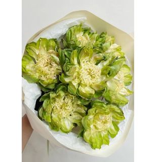 მწვანე სიჩუმე